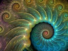 spirals, like in the ear's cochlea 